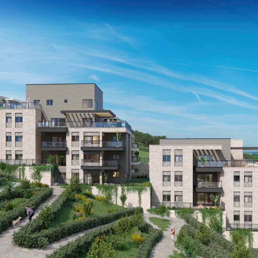 הדמית יום של פרויקט טרסה